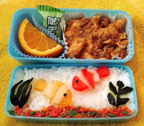 Aquarium Bento, top view