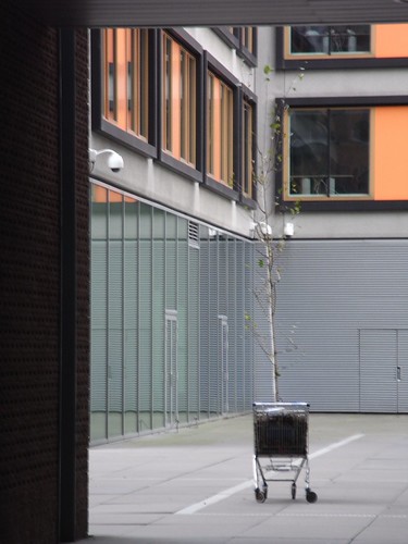 Trees In Trolleys - Urban Play Amsterdam