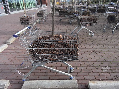 Trees In Trolleys - Urban Play Amsterdam