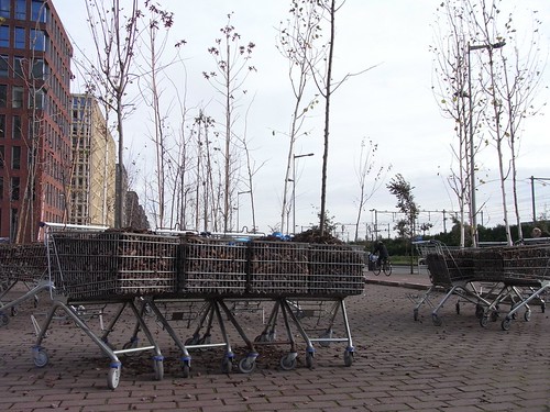 Trees In Trolleys - Urban Play Amsterdam