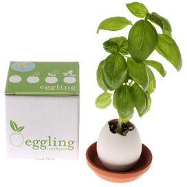Egglings images