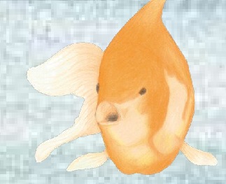 Jealous Fish