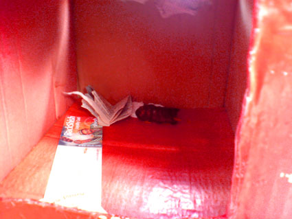poo_in_the_box