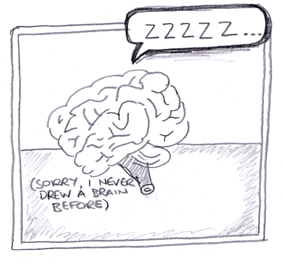brain